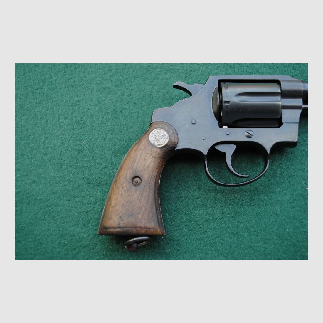 Colt Police Positive Special, Royal Hong Kong Police