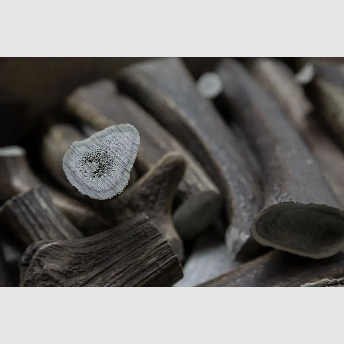 Cours de fabrication de couteaux PUMA