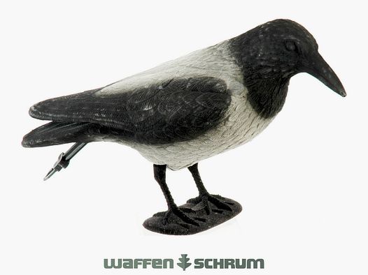 Vollkörper-Lockkrähe beflockt Nebelkrähe