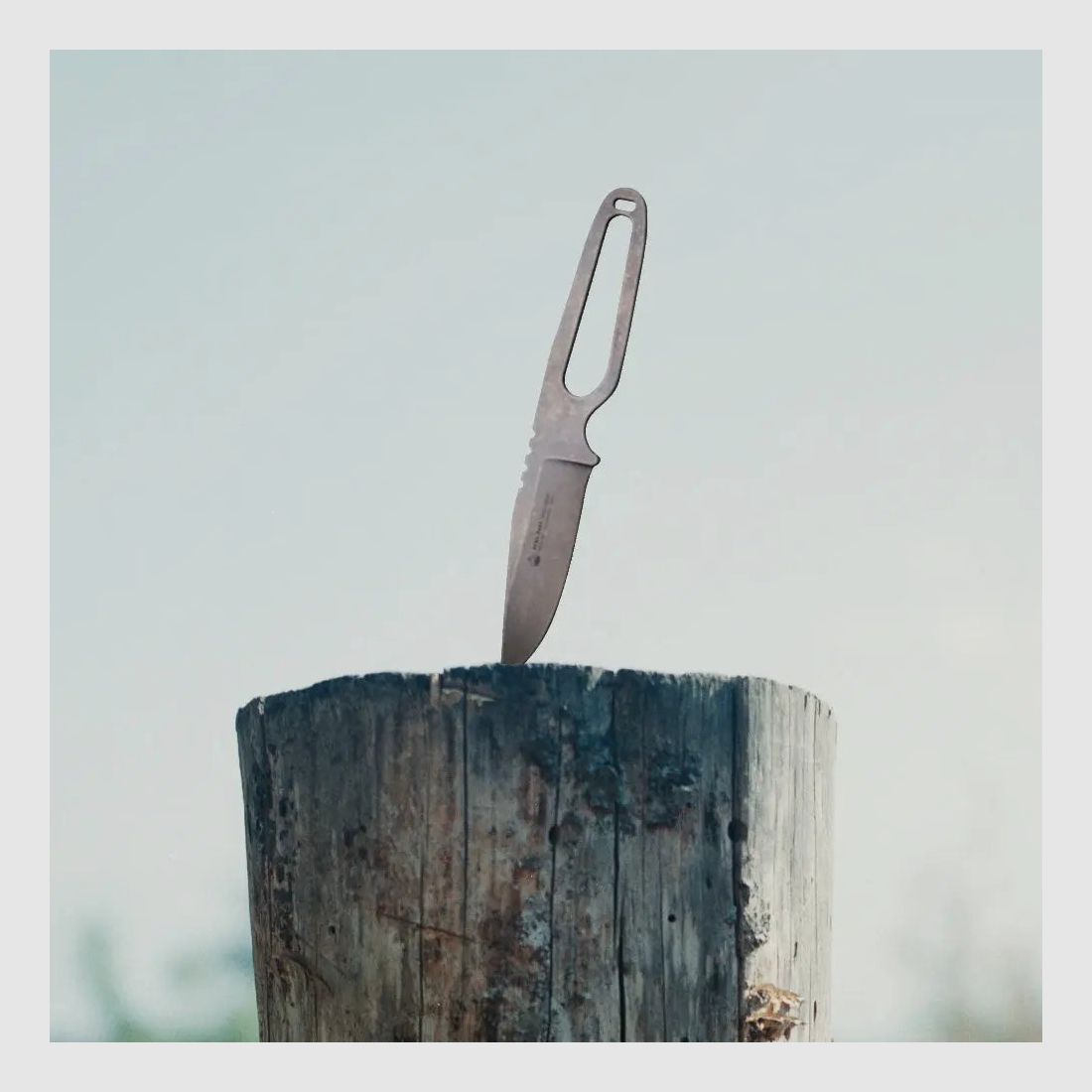 PUMA PARA, EDC Steel