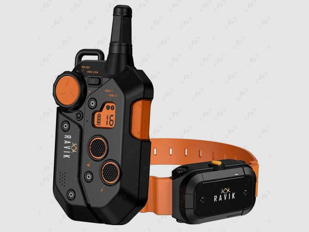 Pack de dressage RAVIK RV900 - 1 chien, image 1 sur 3