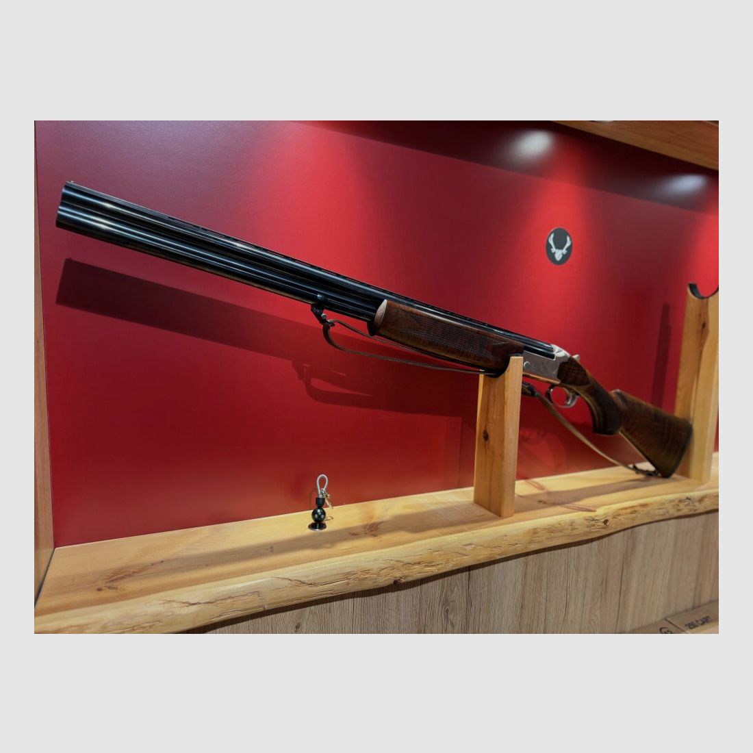 Winchester Select Light