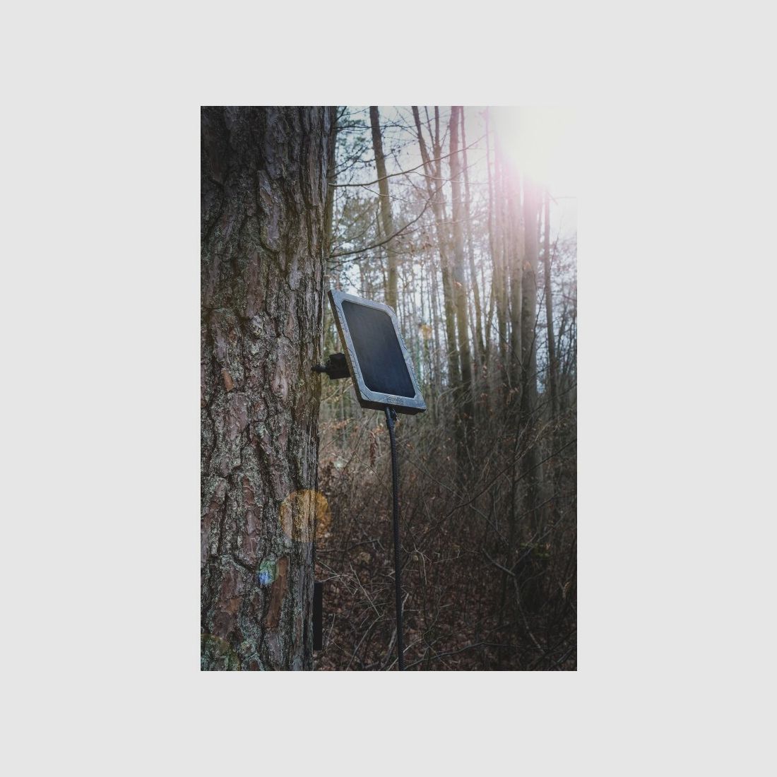 Sixty solar panel for wildlife cameras