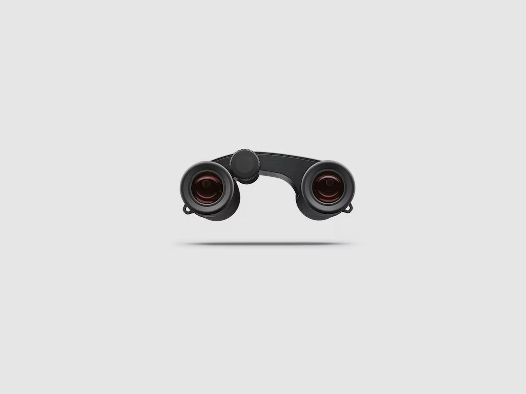ZEISS SCOPE VICTORY POCKET 8X25 BLACK, image 3 of 5