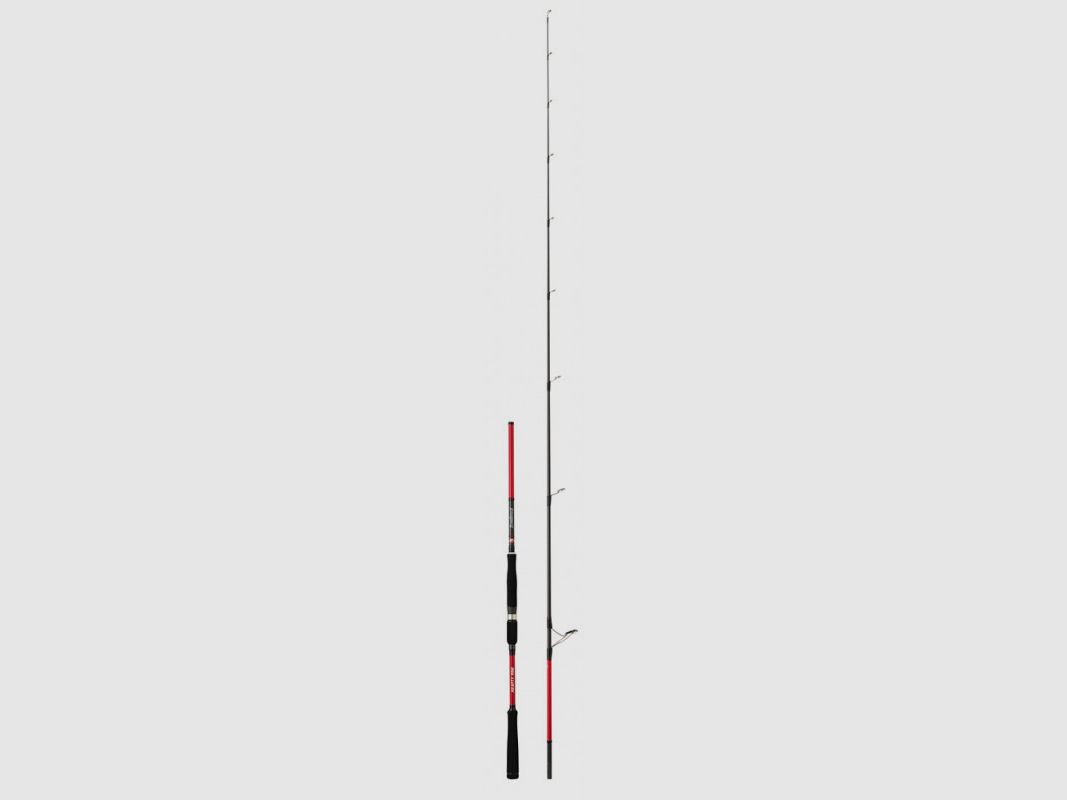 CANNE BASSFORCE II