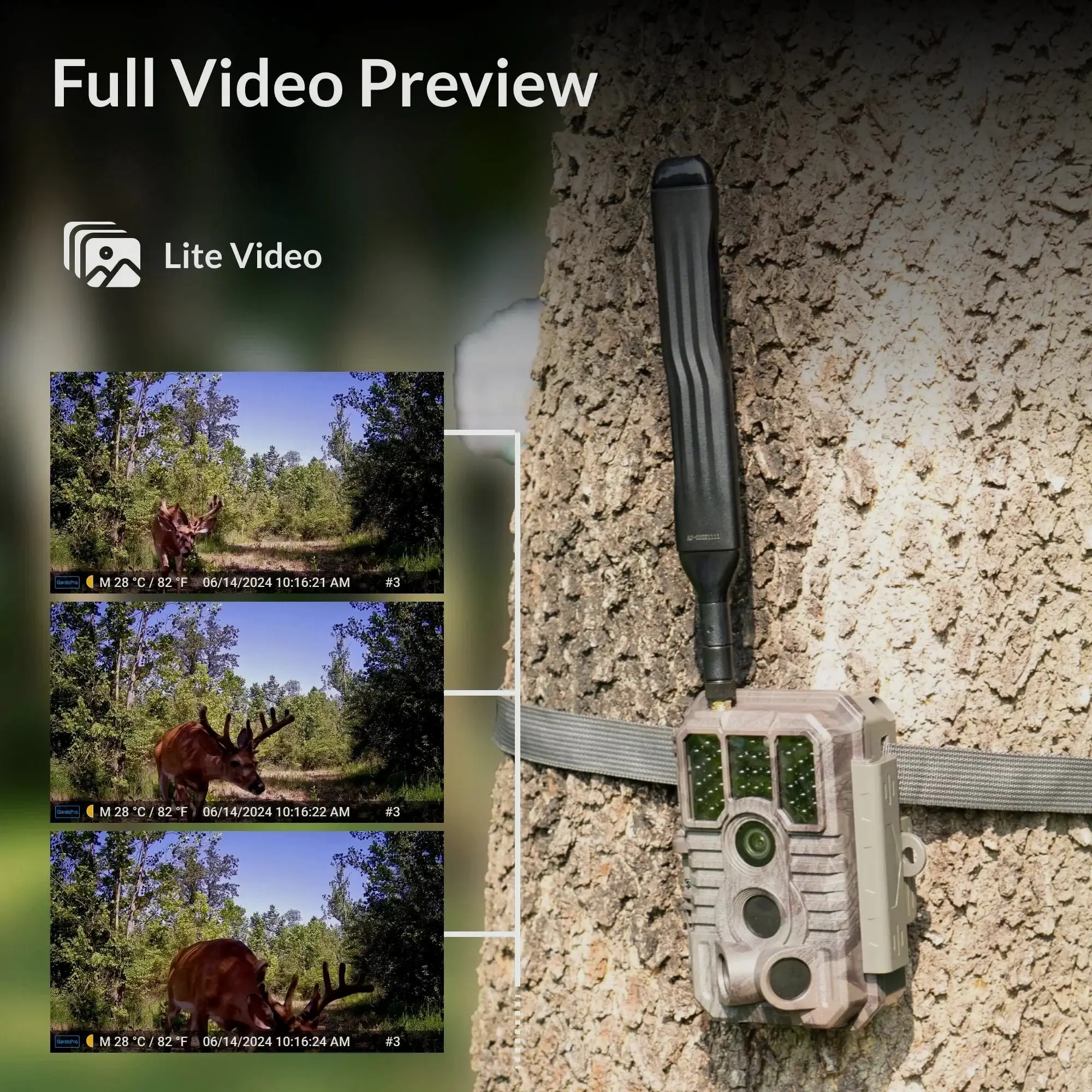 GardePro X60 PRO PMB 4G Wildkamera mit wiederaufladbarem Akku, Bild 4 von 12