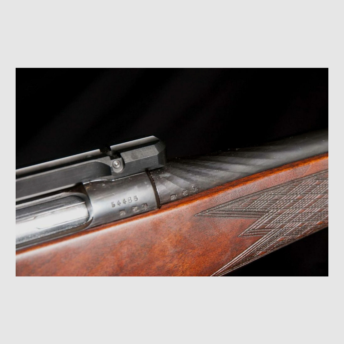 Steyr Mannlicher Stutzen M mit Dentler Montage