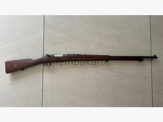 Carl Gustafs Mauser 96 6.5x55SE