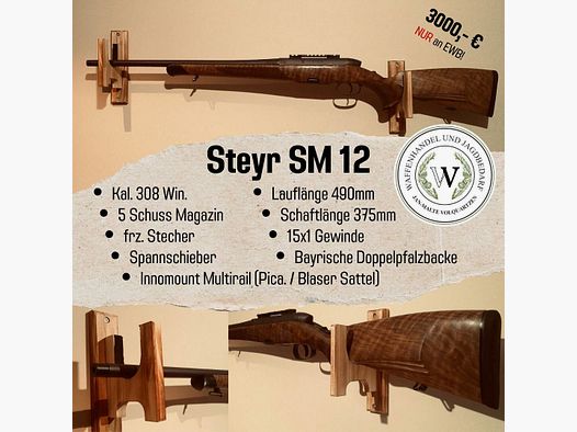 Steyer SM 12 308Win.