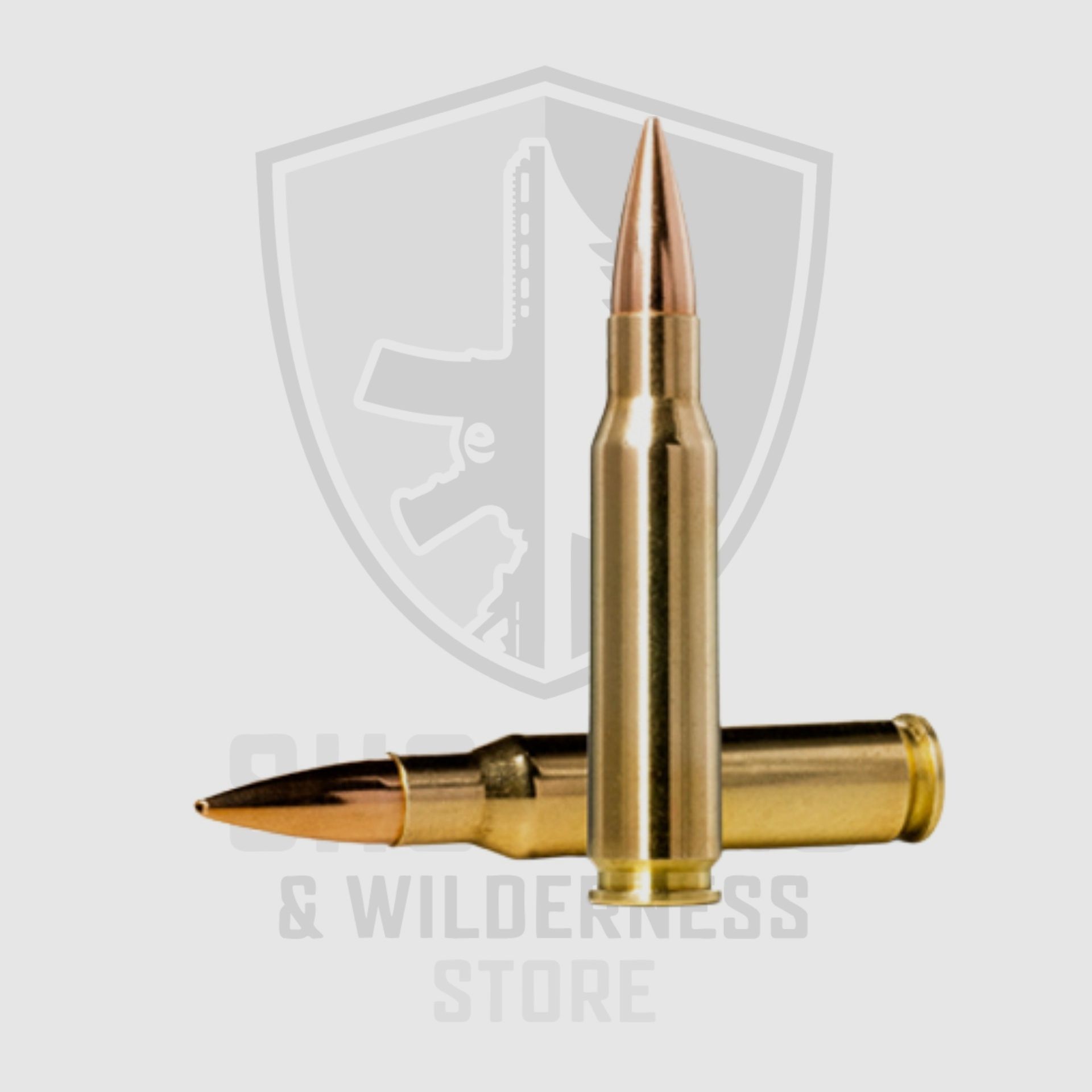 Norma Golden Target Match .308 175gr/11.3g, Bild 2 von 3