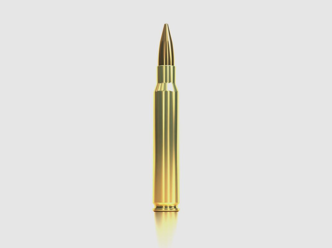 MUNITION PATRONEN SELLIER & BELLOT 30-06 VERSAND X50, Bild 2 von 2