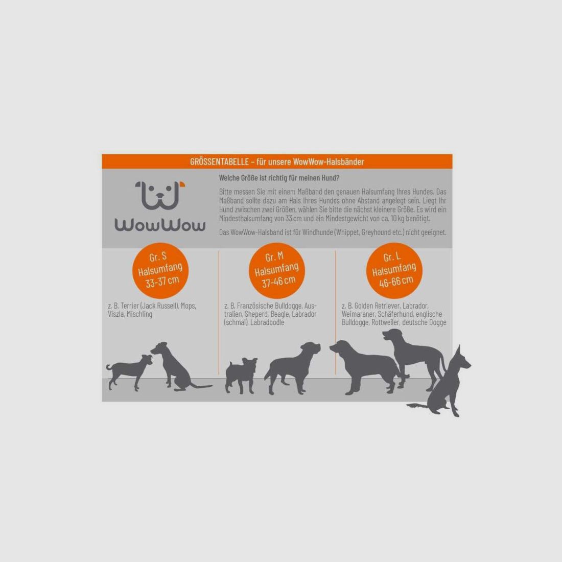 WowWow Hundehalsband mit integrierter Leine Leder Kastanienbraun