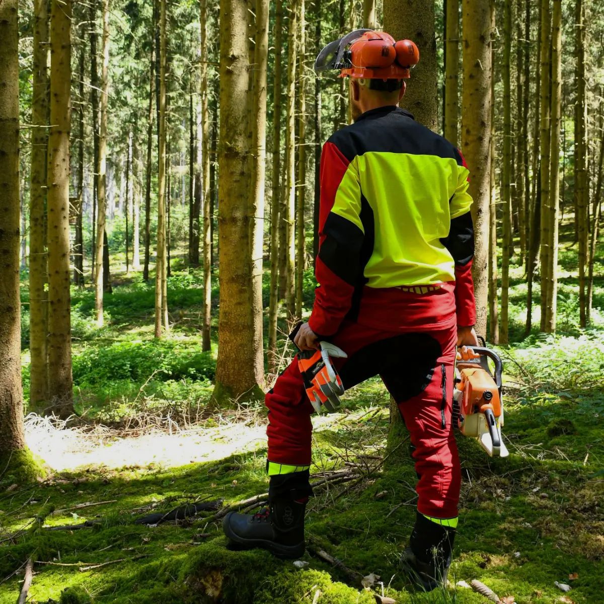 Scheibler Pantalon de Protection Contre les Coupures Woodcreek Pro