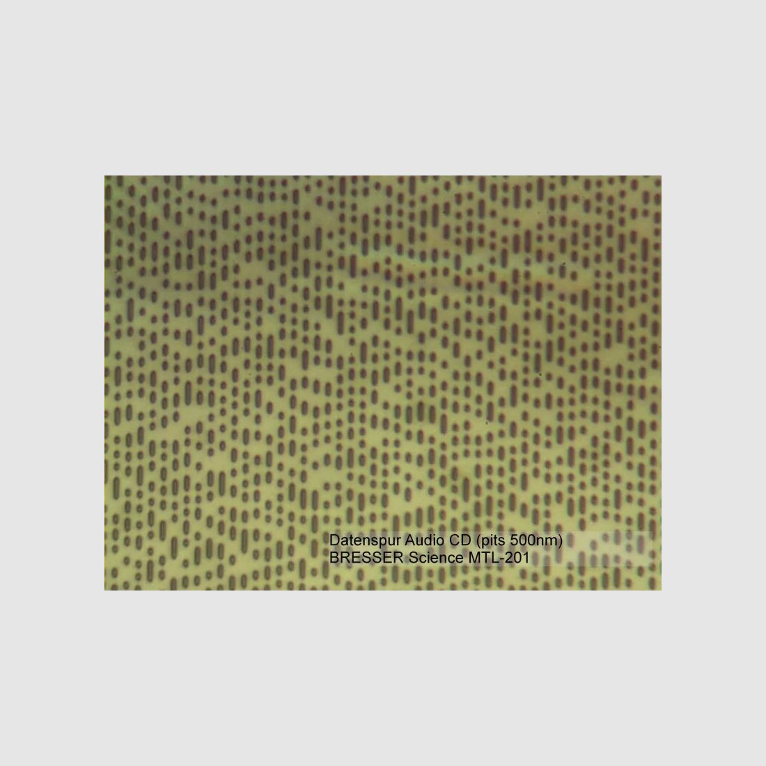 BRESSER Science MTL 201 50-800x Mikroskop, Bild 3 von 13