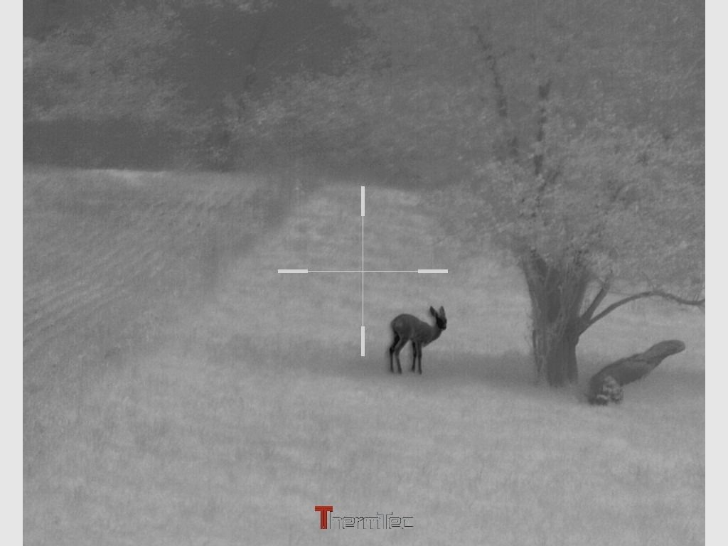 Thermtec Hunt 650 HighEnd thermal imaging clip-on device