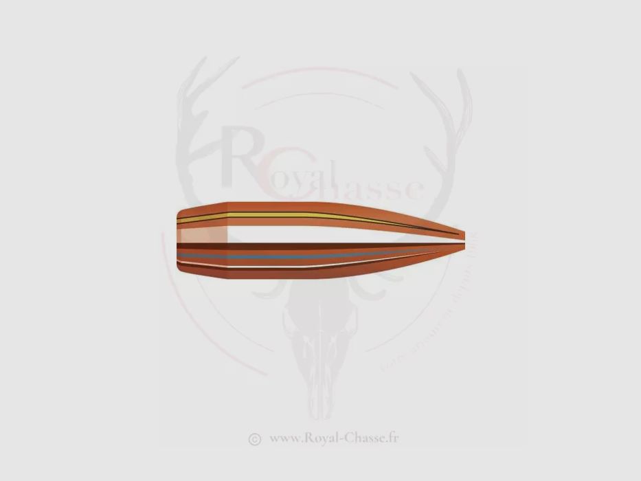 100 kogels kal. .22 D.224 68 gr BTHP MATCH HORNADY