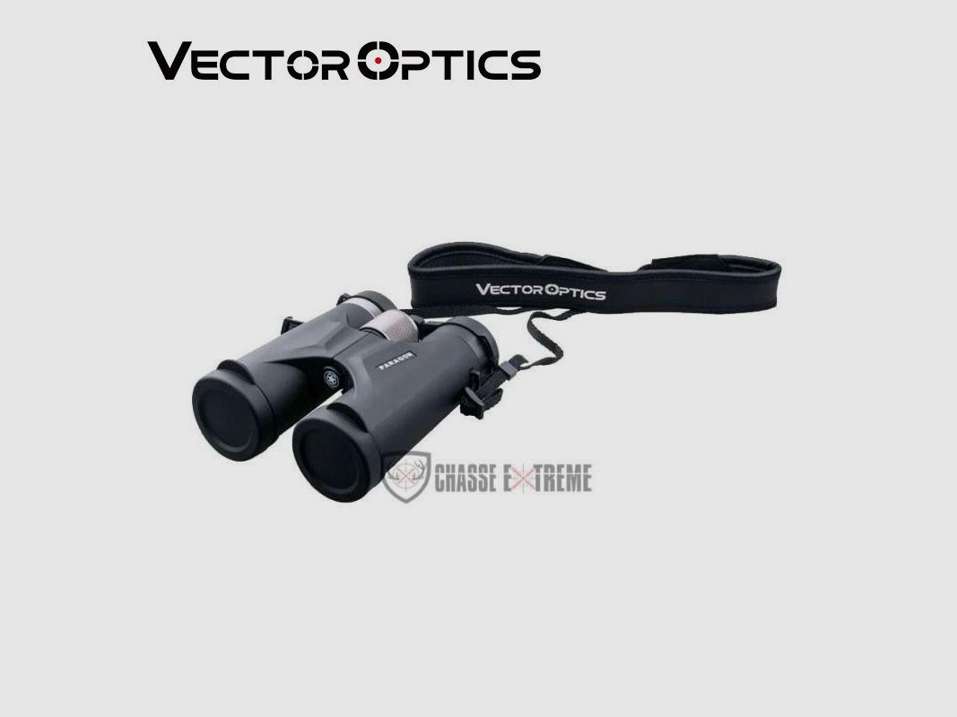 Binoculars VECTOR OPTICS Paragon 10x42, image 5 of 6