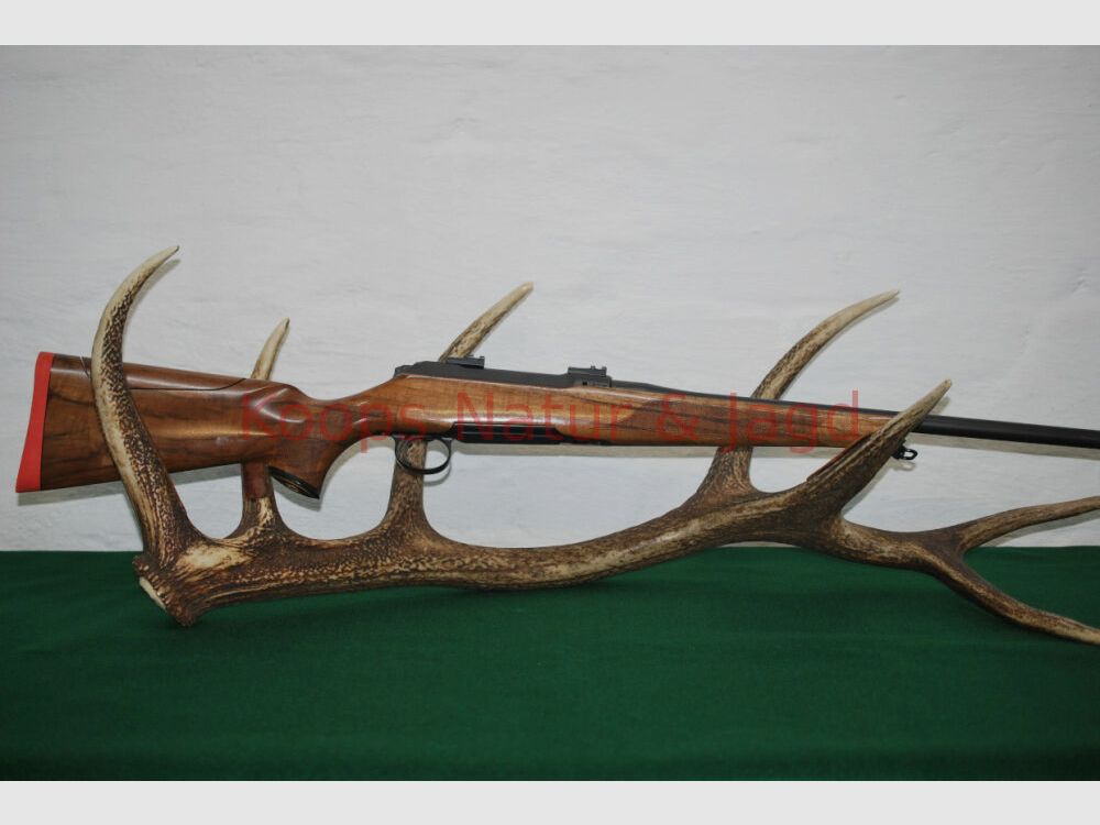 Sauer 101 Artemis