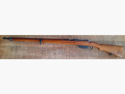Steyer 1895 Gewehr