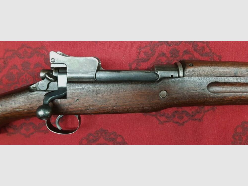Winchester P17