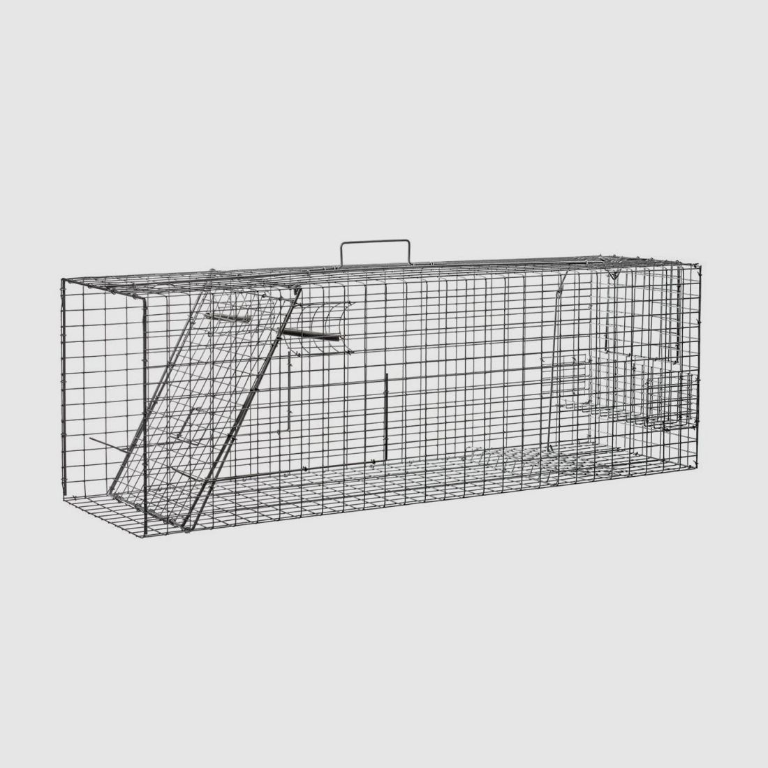 Piège à raton laveur Granlunds ÖF20 capture vivante