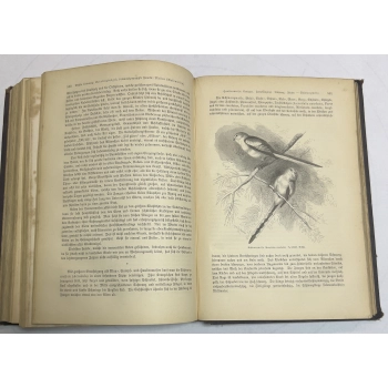 Brehms Tierleben 1879r, image 12 of 13