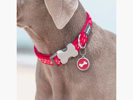 Gravierte Hundemarke - Ø 3cm - Edelstahl