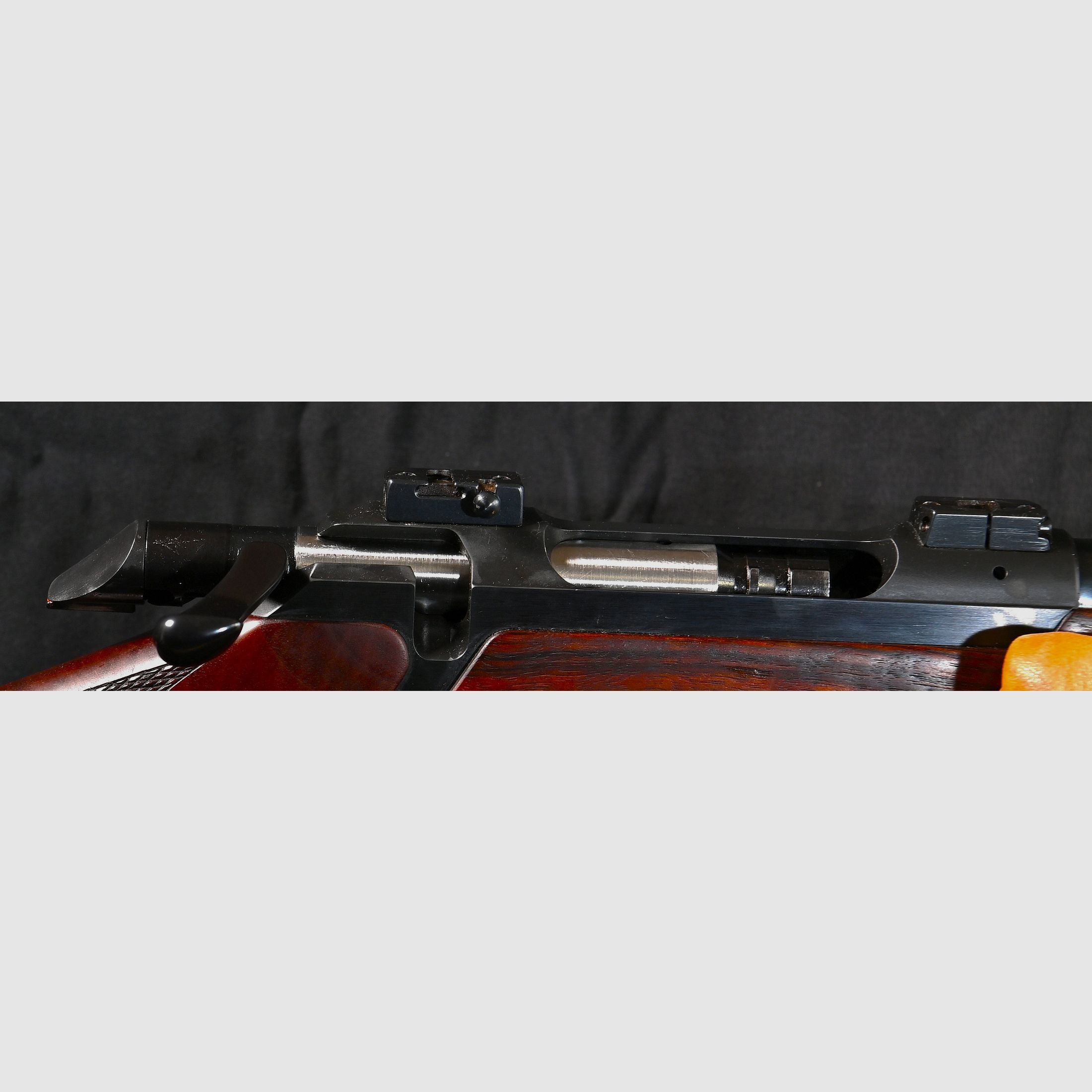 200 Europa mit ZF mit Parallaxe Ausgleich auf Schwenk Montage