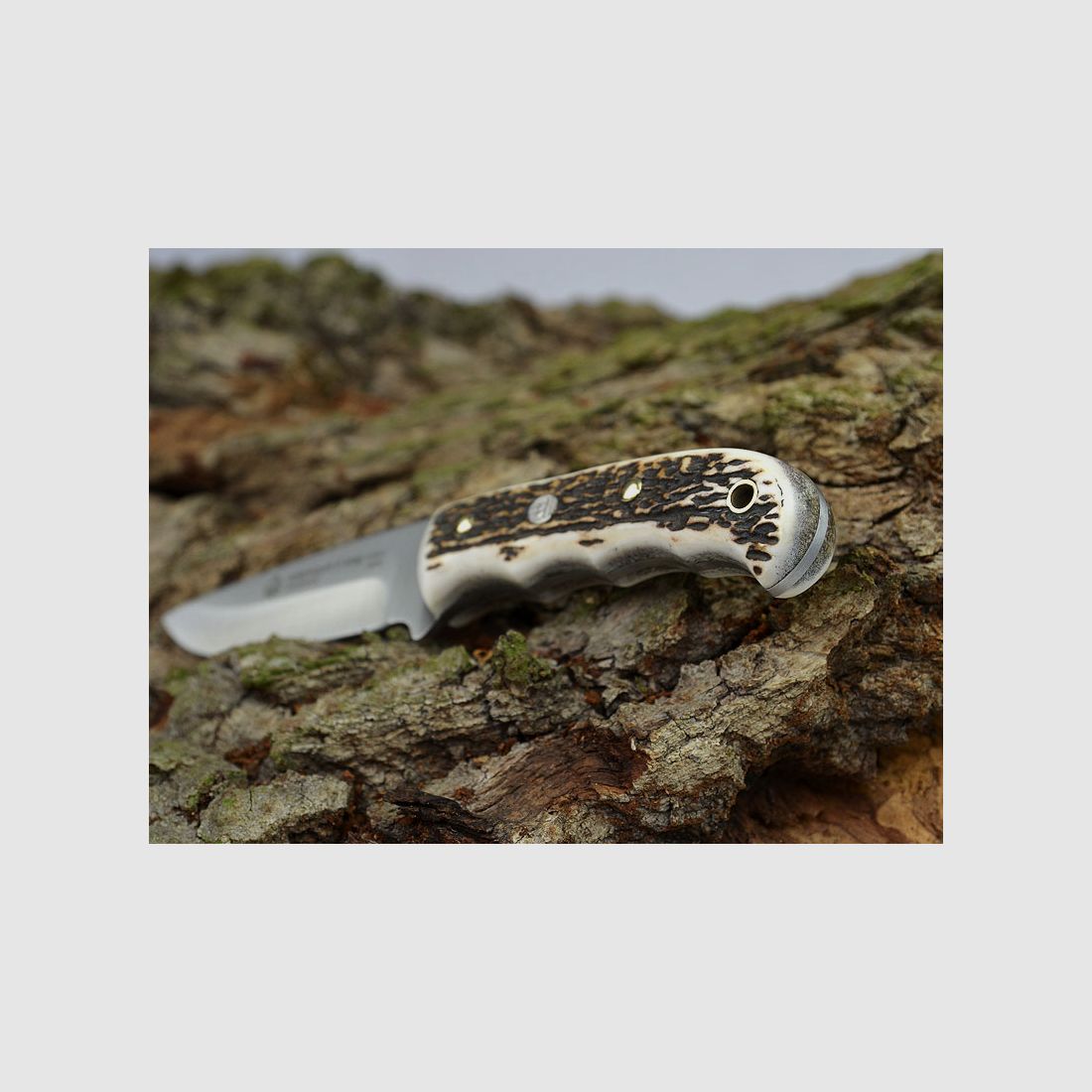 PUMA IP Catamount II Stag