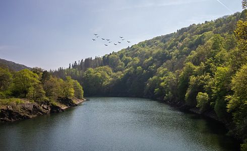 Jagdzeiten Rheinland-Pfalz