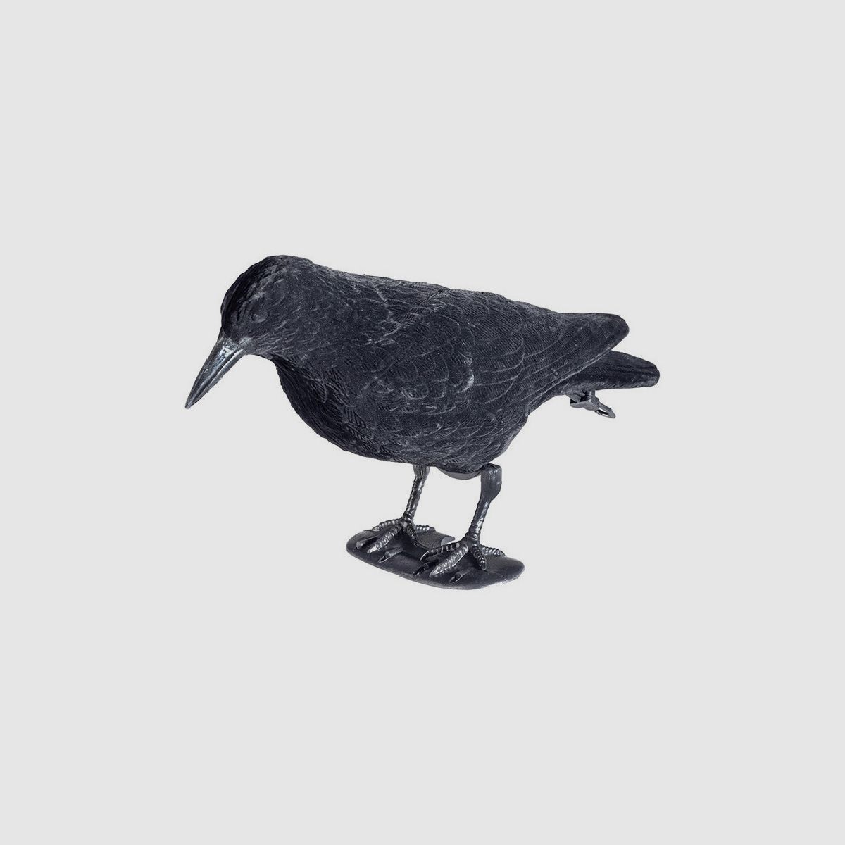 Stepland Crow