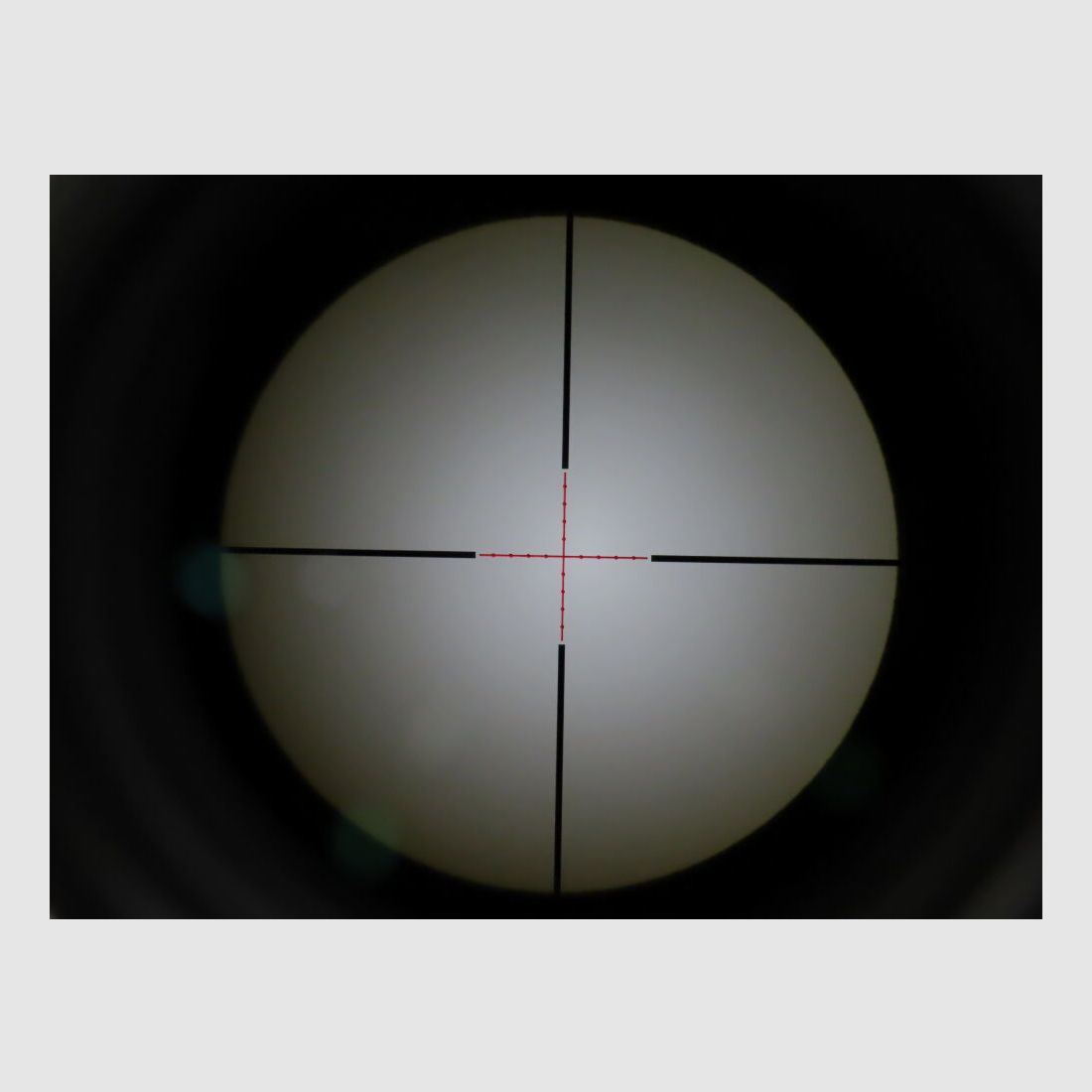 Steyr SSG 69 incl. Hawke Sidewinder 6-24x56