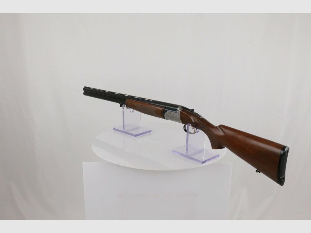 INC Bersciani BDF