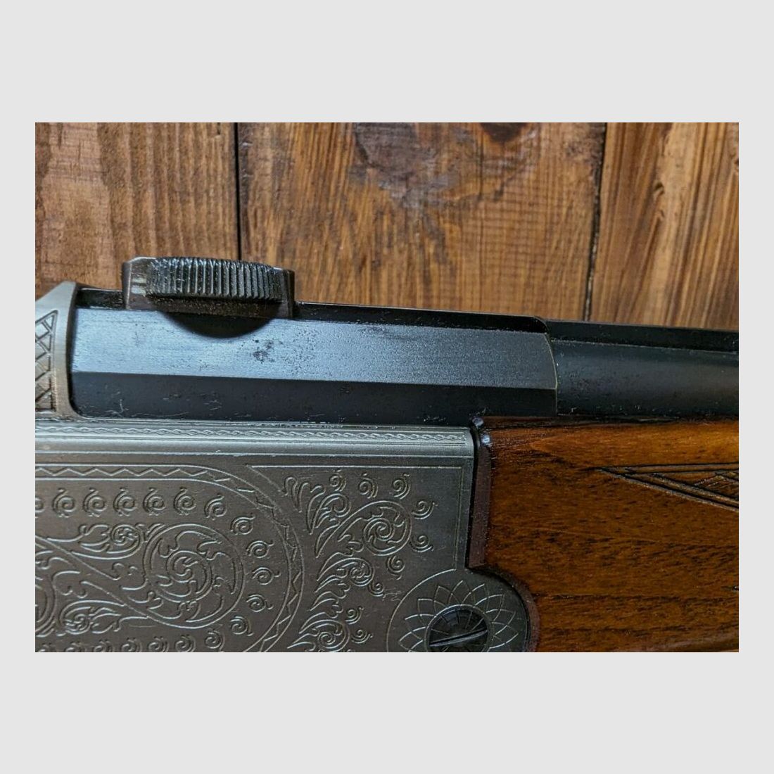 Blaser ES 670