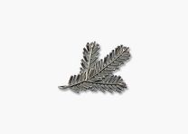 El broche de plata: una insignia de caza para el sombrero
