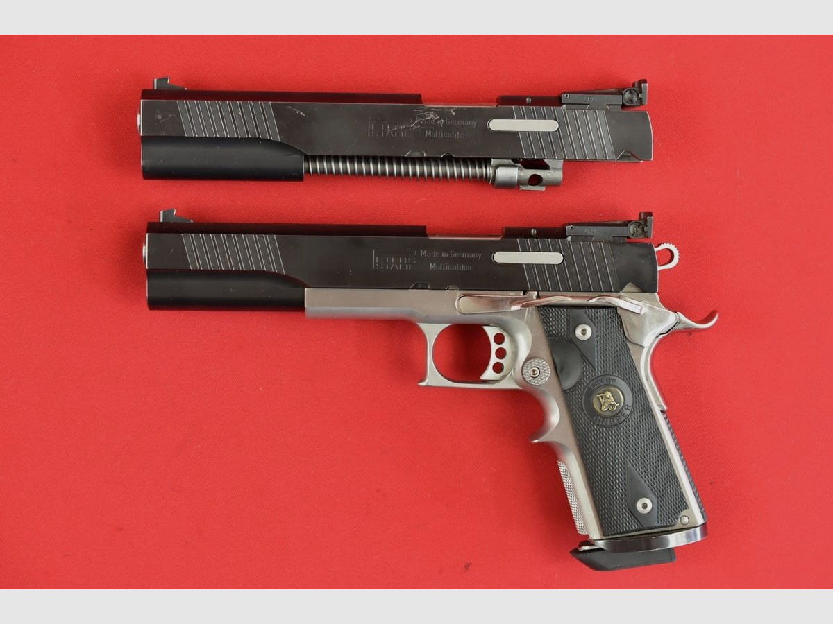 #2518 PETERS STAHL Pistol Multi Caliber, cal. .45 ACP / 9x19, image 3 of 32