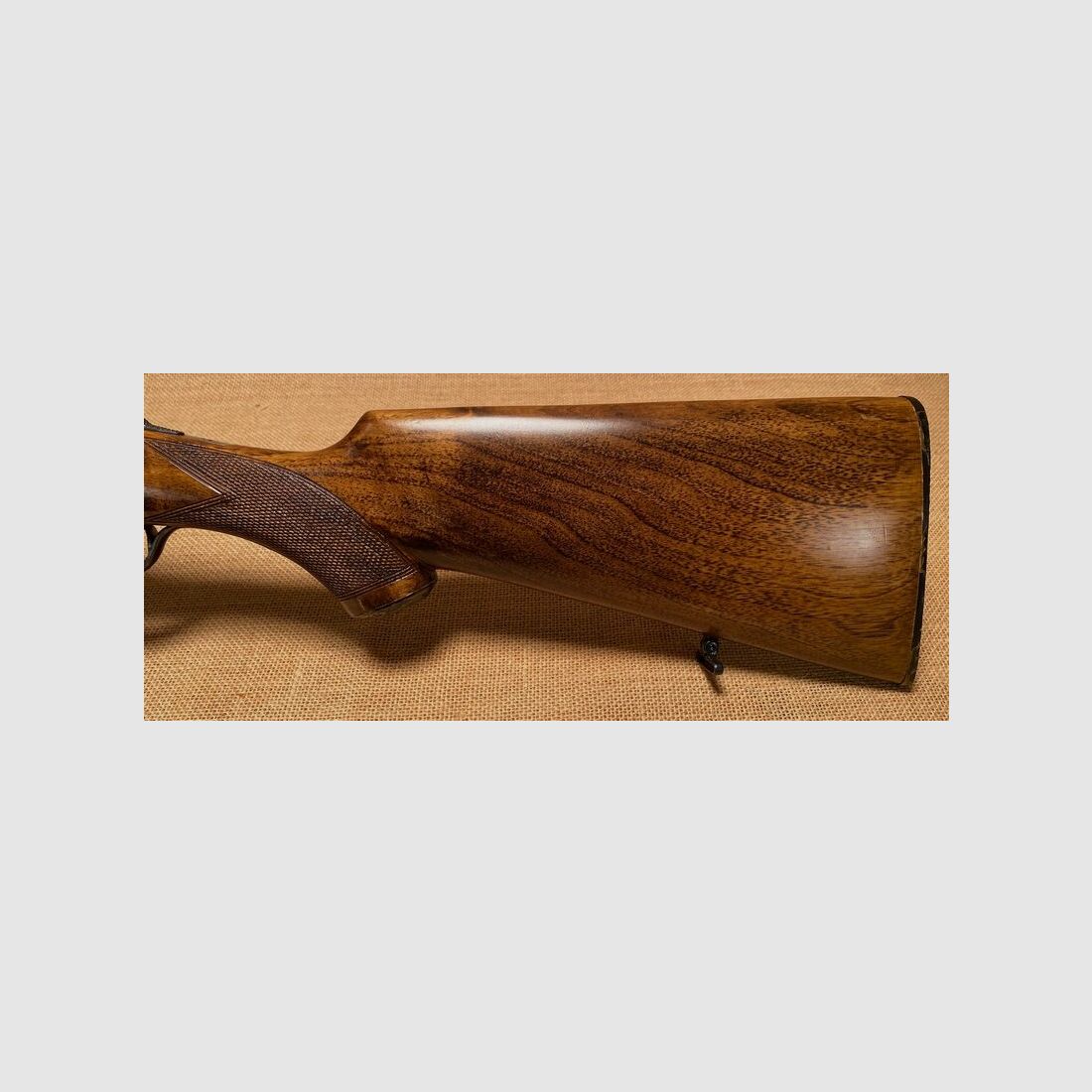 F.SARRIUGARTE ELOGOIBAR-ESPANS Hubertus 20