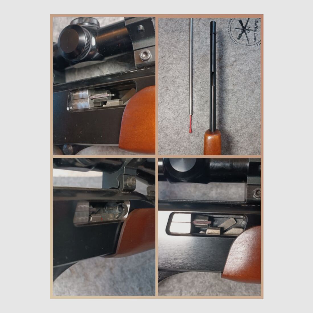 Winchester Mod. 270 Pump Action .22lr. Répétiteur à pompe avec poignée avant