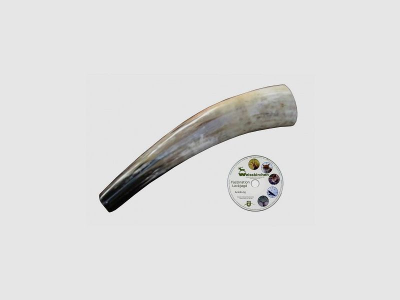 Appel en corne pour cerf, image 1 sur 2