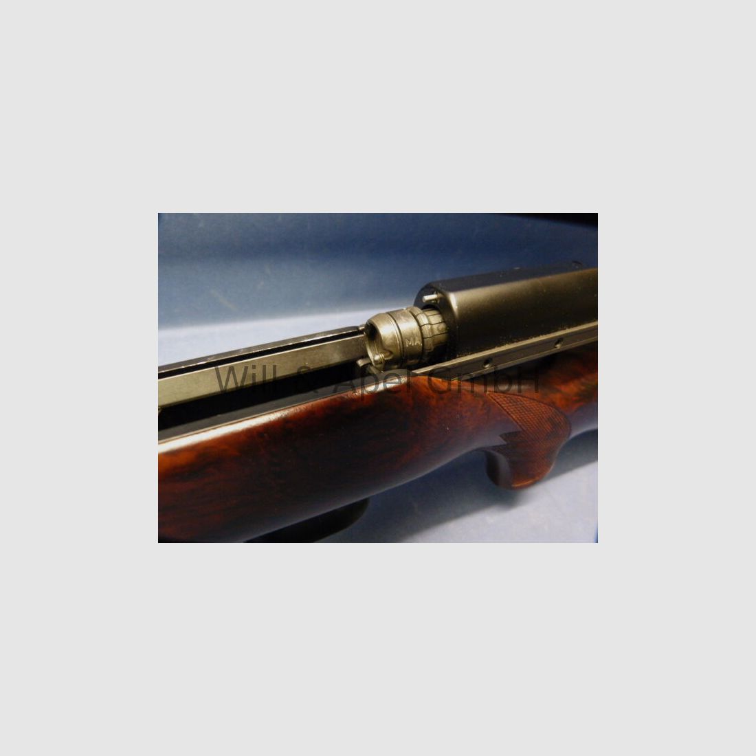 BLASER/ ISNY R93 TIMBER