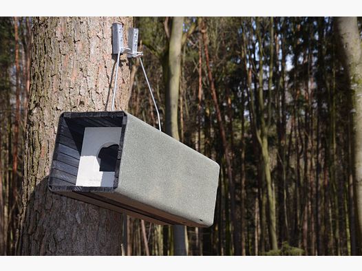 Schwegler Waldkauzrhre 1WK