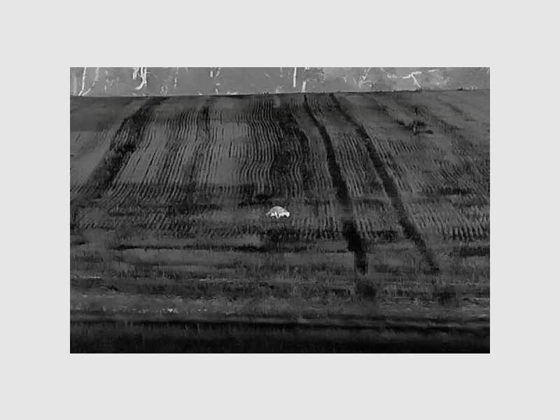 Dispositivo di imaging termico ClipOn InfiRay MATE MAH50 escl. adattatore, immagine 7 di 8