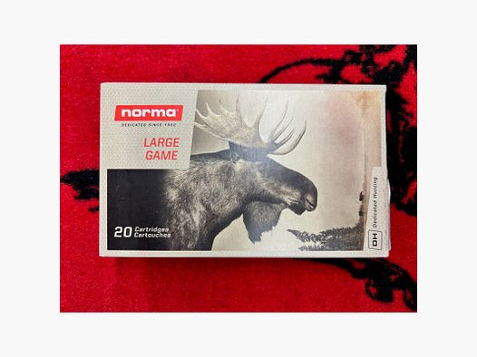 Norma Oryx 30-06 180 grs (x20)