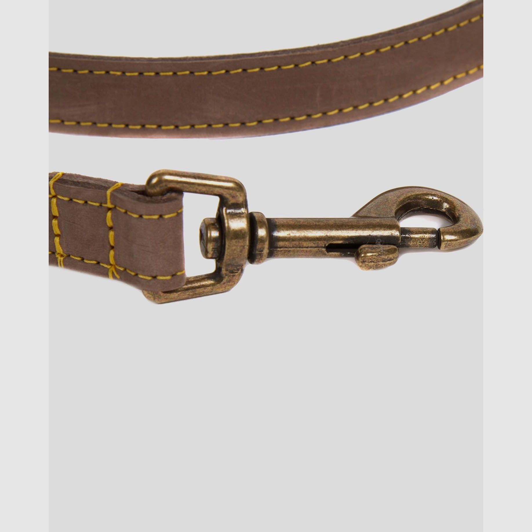 Barbour Hundeleine aus Leder