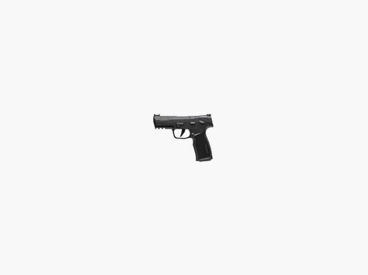P322 - 22 LR