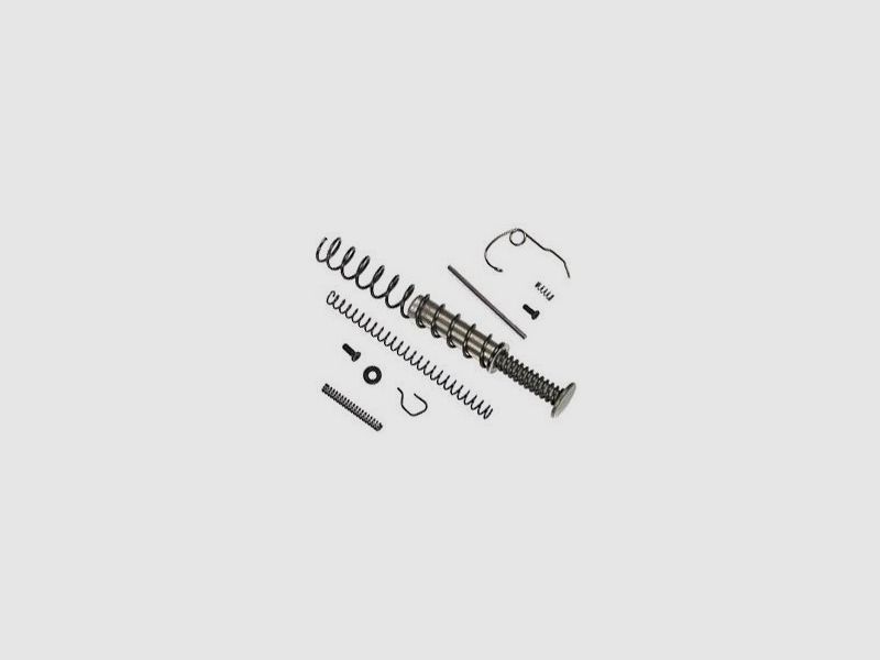 Federn Service Kit Kahr PM40 Old