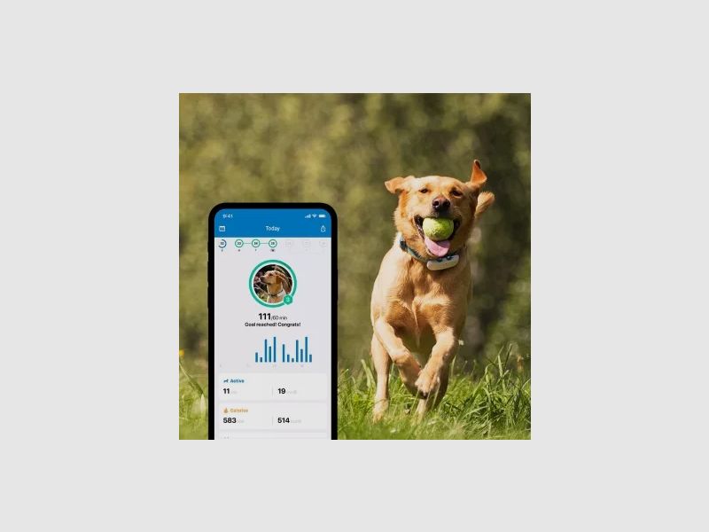 Tractive Tractive GPS Dog 4 Ortungsgerät