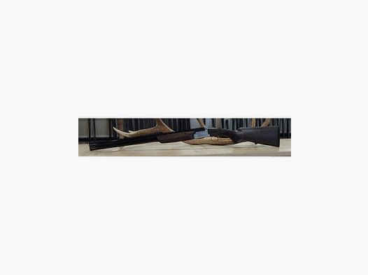 Franchi Feeling tentoonstellingsmodel