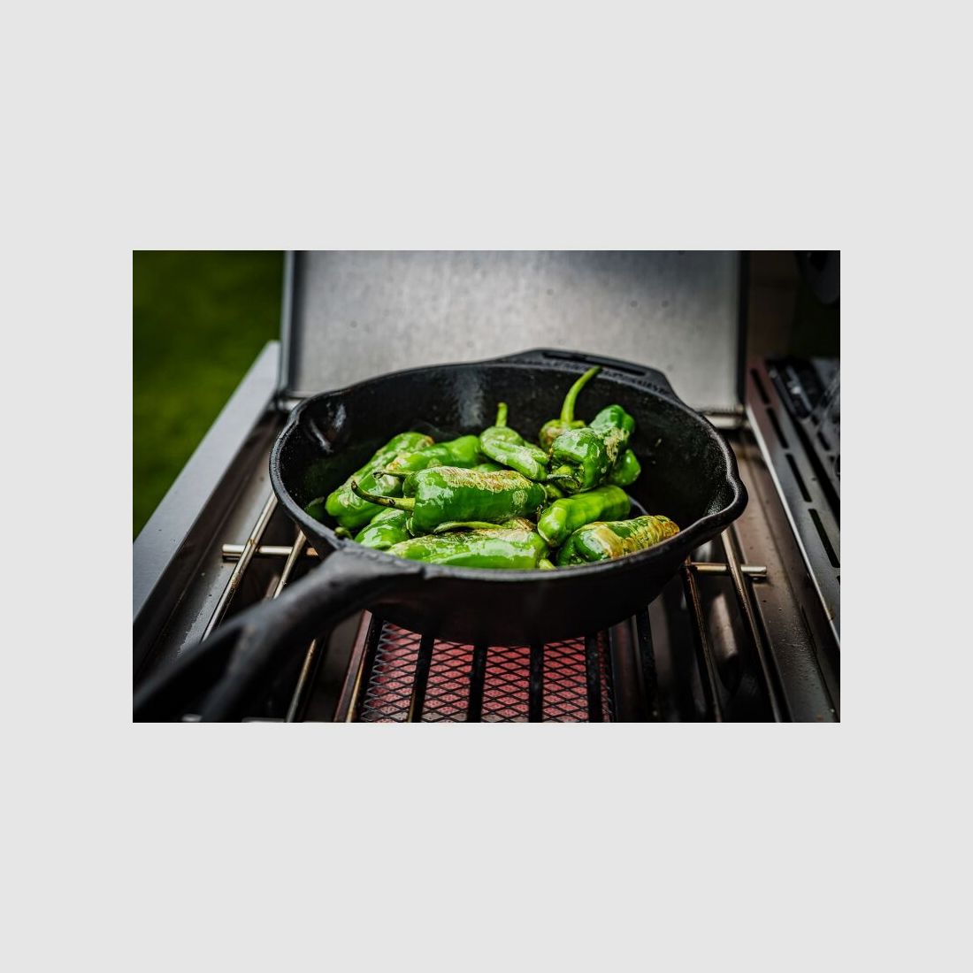 Grillfürst Gasgrill G310G mit Guseisen Rosten