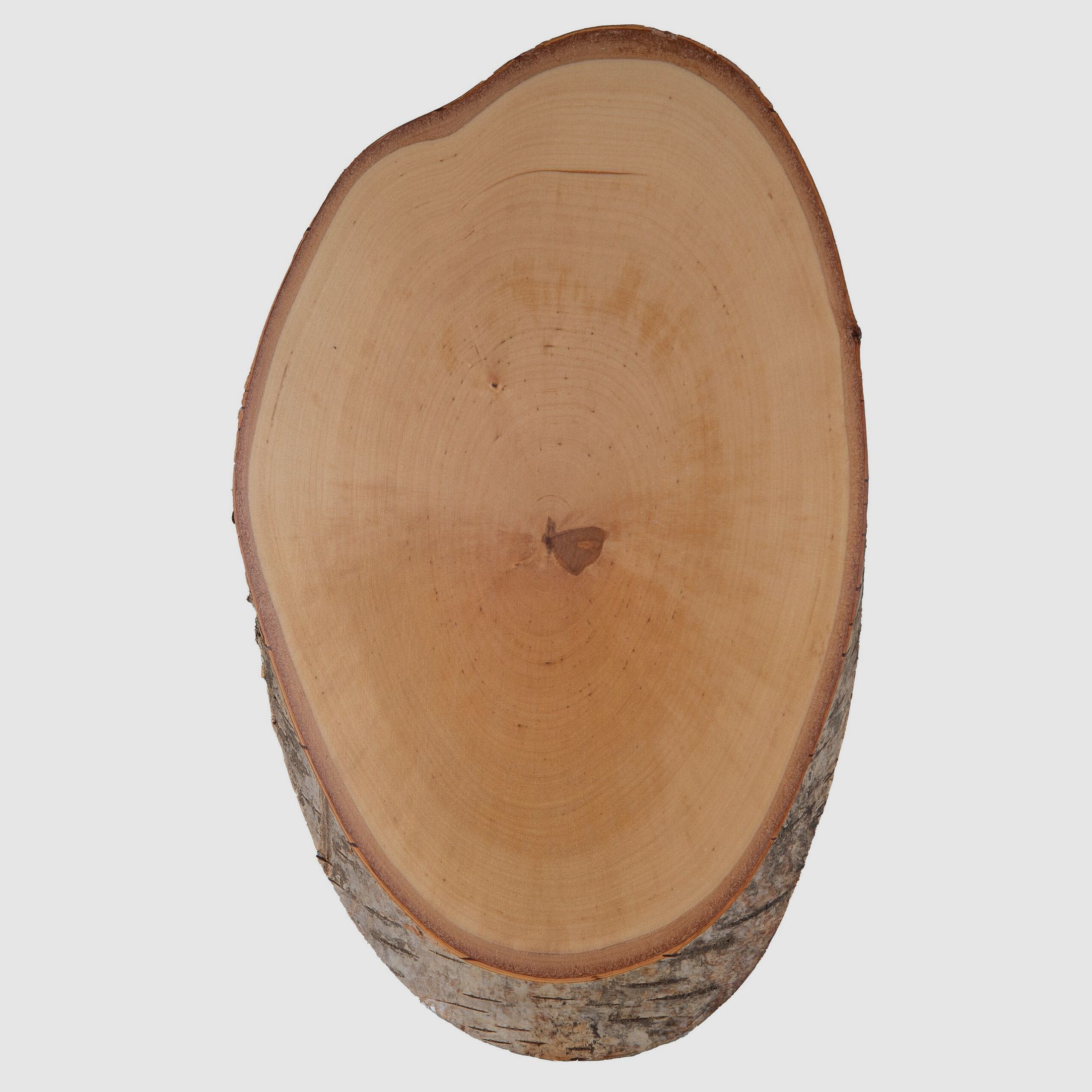Hirschschild Birke